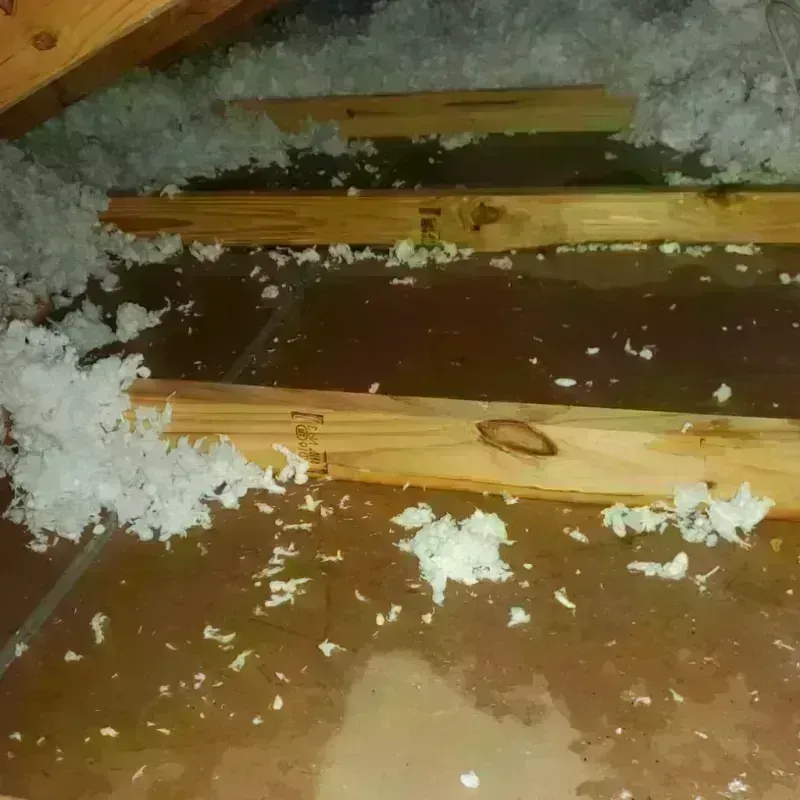 Attic Water Damage in College Park, GA