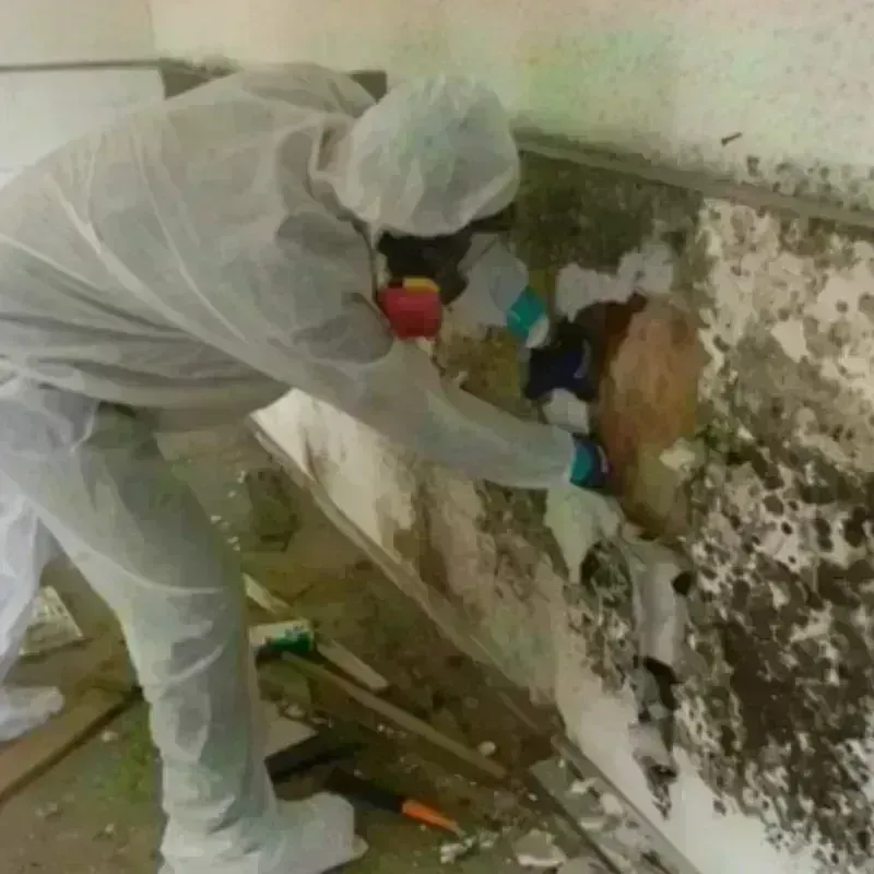 Mold Remediation and Removal in College Park, GA