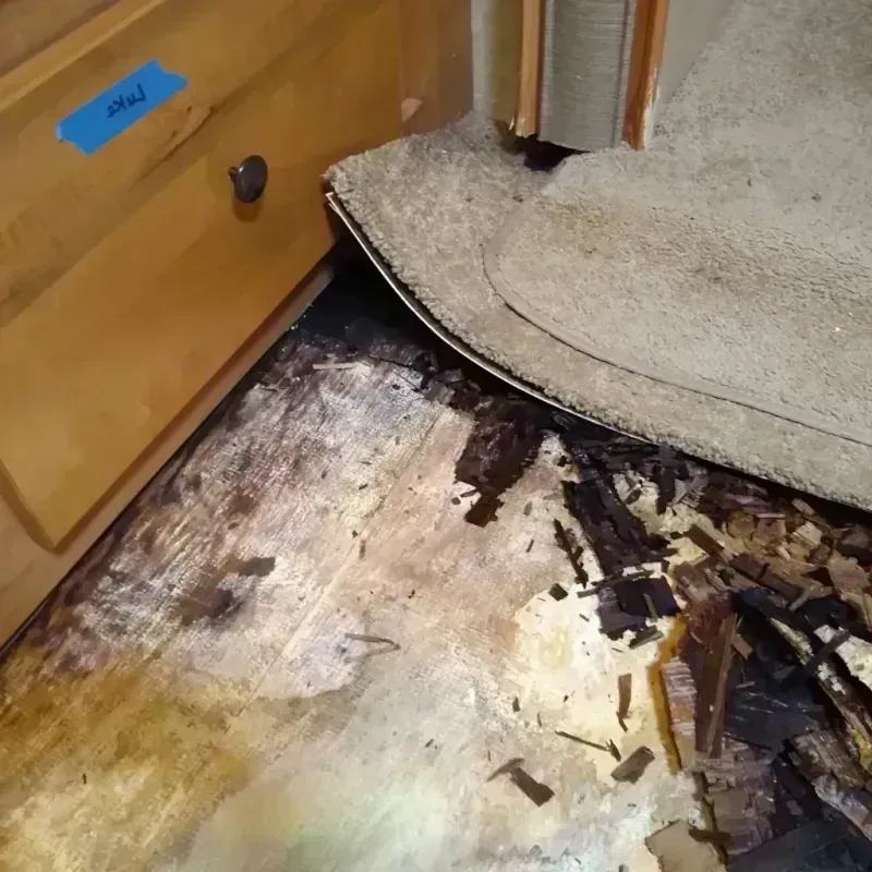 Best Wood Floor Water Damage Service in College Park, GA